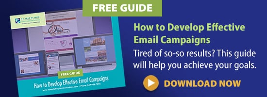 how-to-develop-effective-emai-campaigns graphic